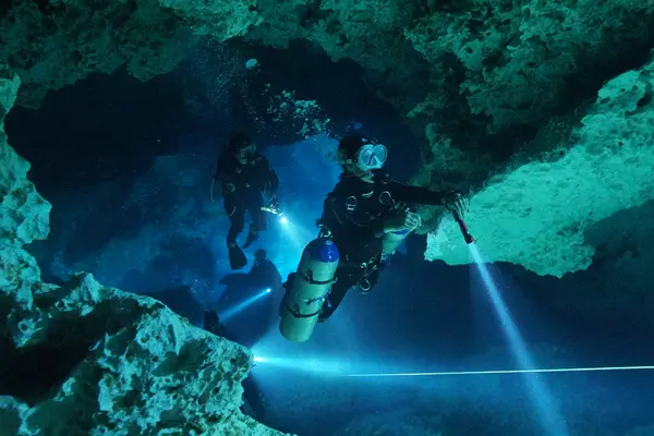 Chikin Ha Cenote Diving: Halocline and Caverns in the Riviera Maya