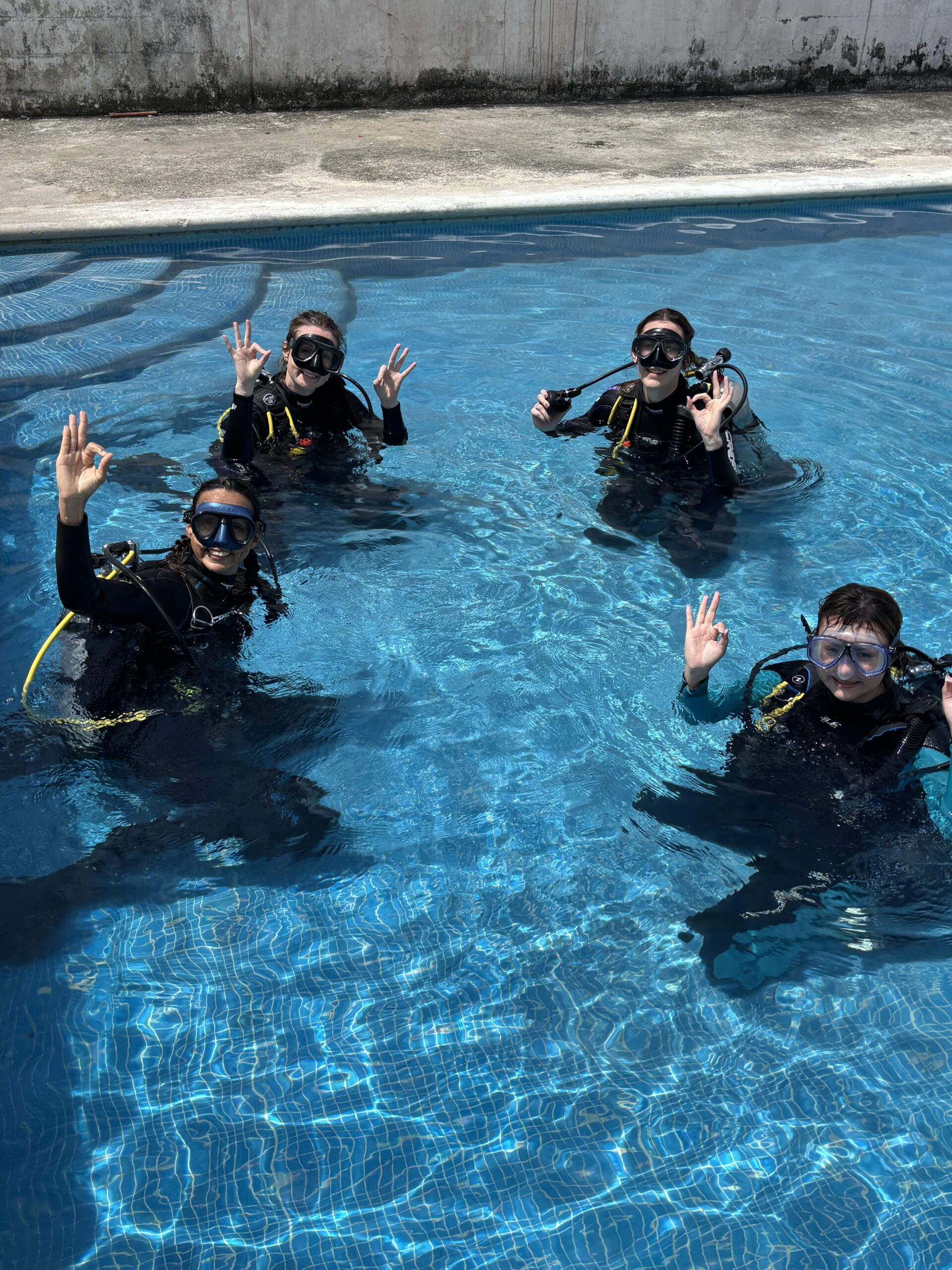 Discover Scuba vs PADI Open Water in Playa del Carmen: which one should you choose for your first dive trip?